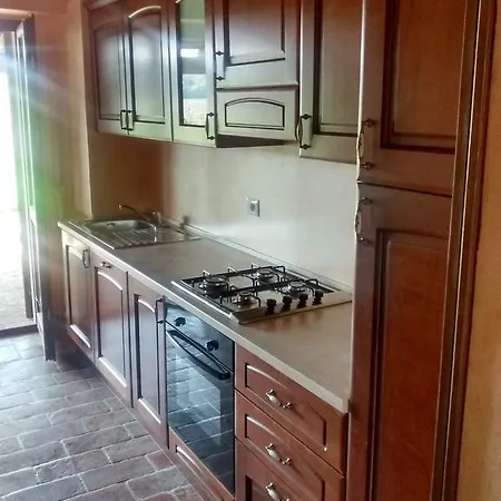 Rinolfa