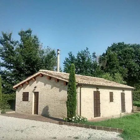 Rinolfa Bellocchi