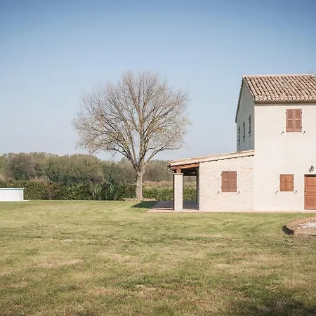 Rinolfa